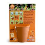 Radis et Capucine - Kit de jardinage enfant - Fleurs en mélange - Licorne - MEDIA_PACKAGING_VERSO
